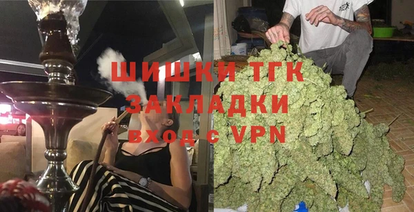 хмурый Мегион