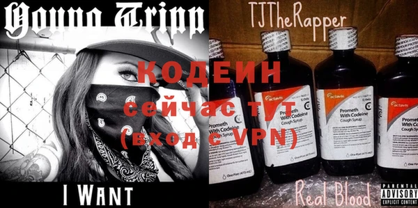 хмурый Мегион