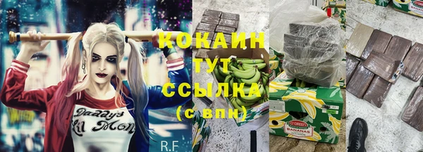 хмурый Мегион