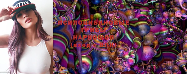 хмурый Мегион