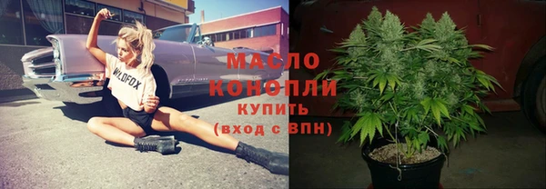 хмурый Мегион
