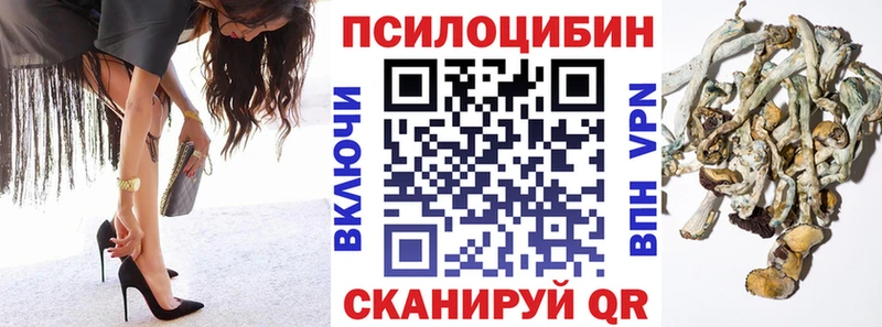 Купить  Княгинино  Галлюциногенные грибы мухоморы 